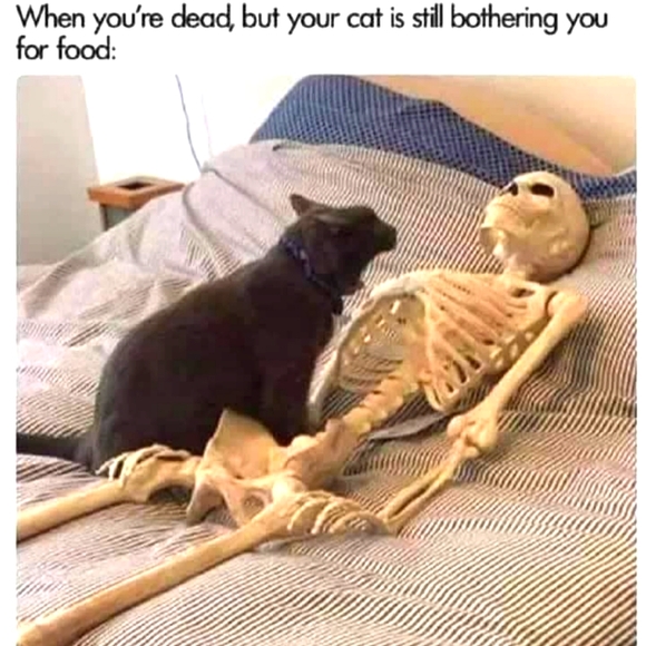 Loyalty Poshers, Bone to be Wild Share Event Mar. 28th-30th. Rattle those bones - Picture 12 of 12